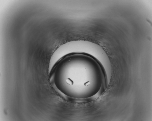X0000095930192200801181448