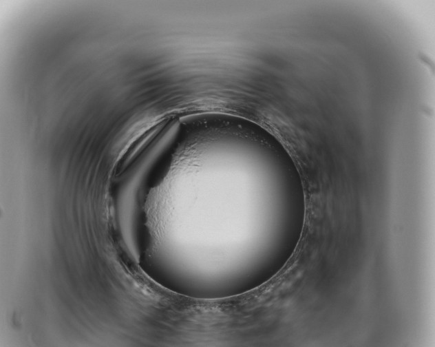 X0000095930194200801181447
