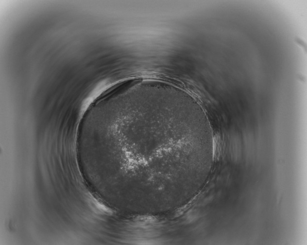 X0000095930195200801181447