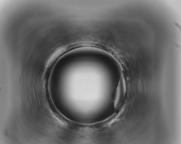 X0000095930197200801181447
