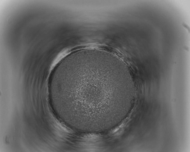 X0000095930198200801181447