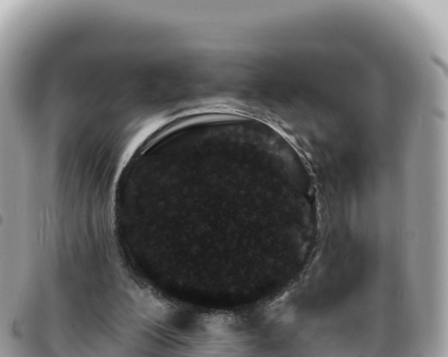 X0000095930200200801181447