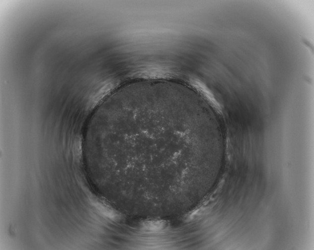 X0000095930202200801181447
