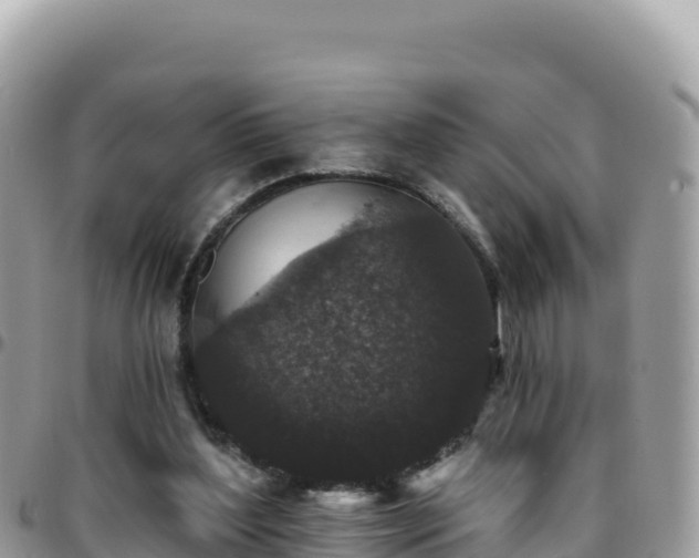 X0000095930204200801181447