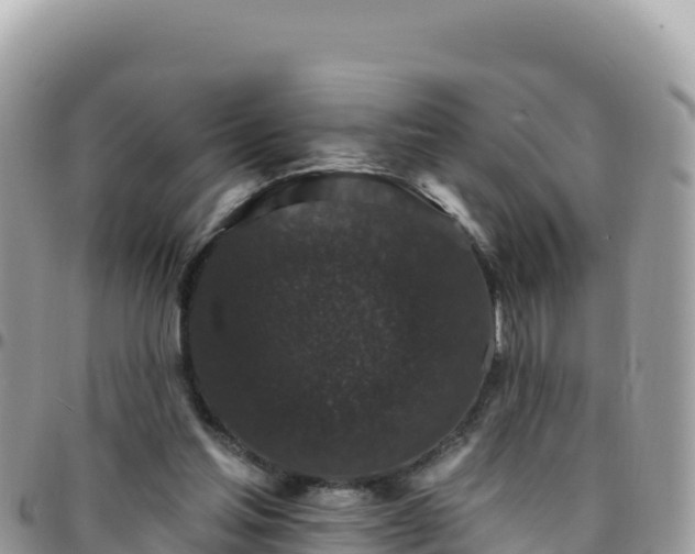 X0000095930205200801181447