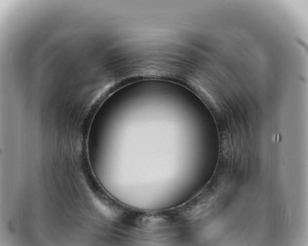 X0000095930208200801181447