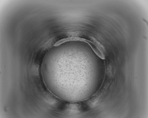 X0000095930209200801181447