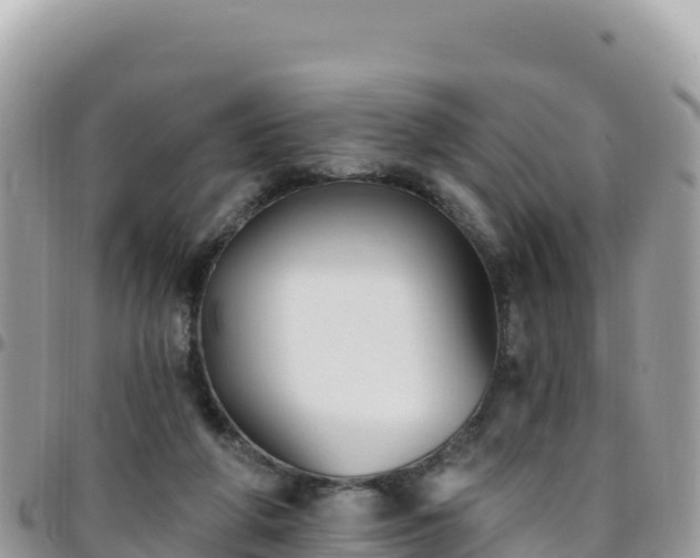 X0000095930210200801181447