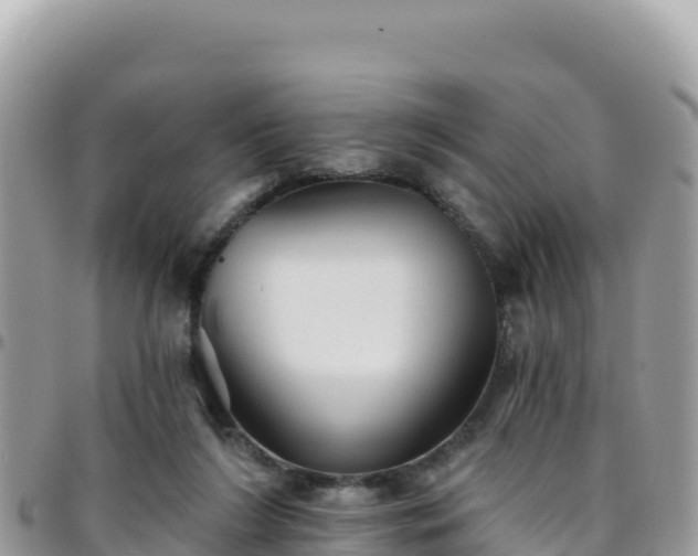 X0000095930212200801181447