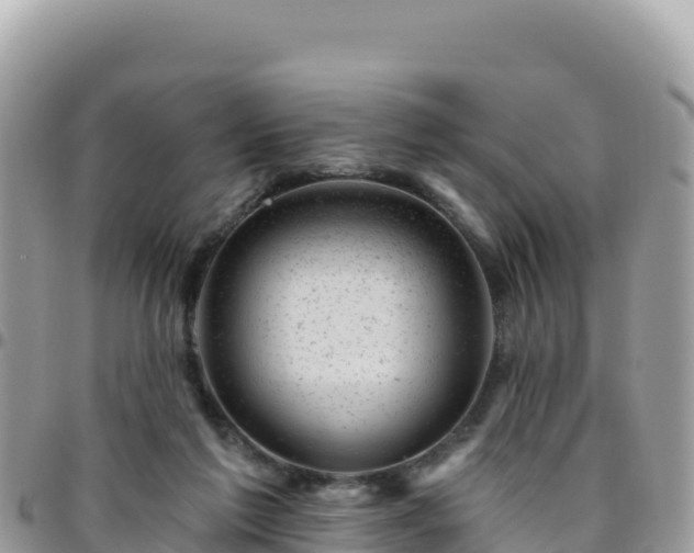 X0000095930213200801181447