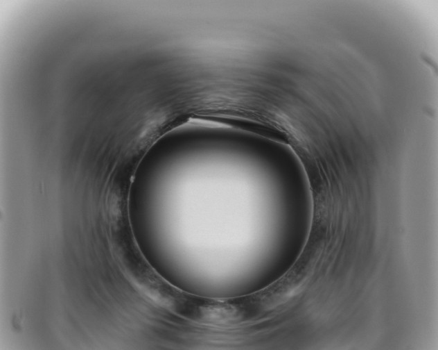 X0000095930215200801181447