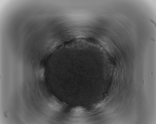 X0000095930219200801181447