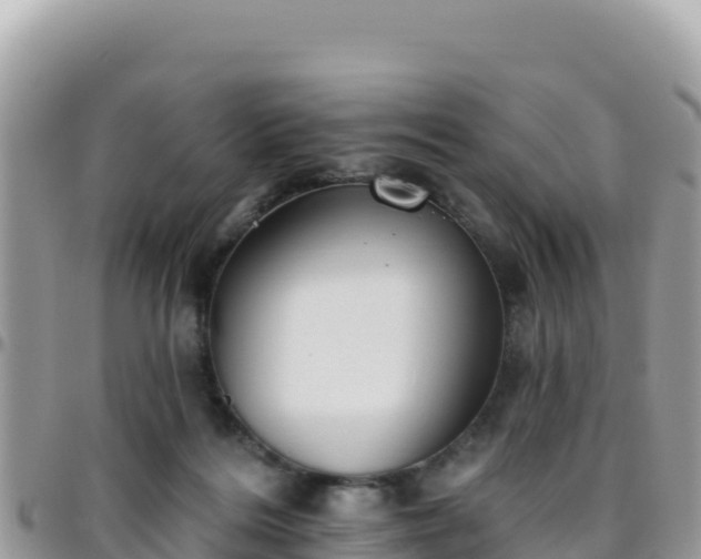 X0000095930220200801181447