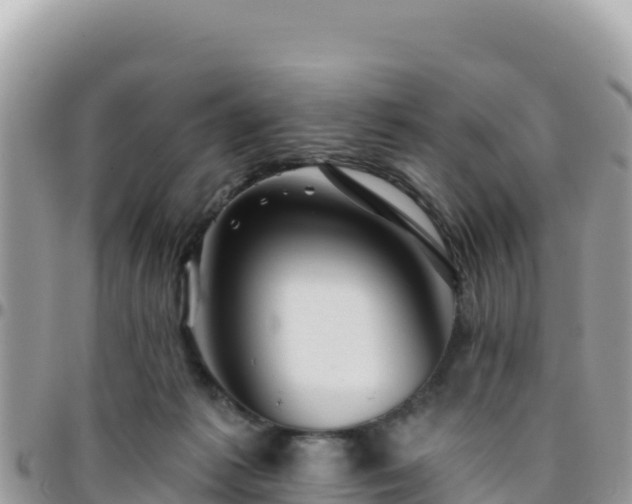 X0000095930221200801181447