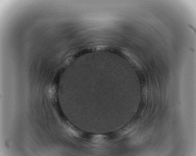 X0000095930222200801181447