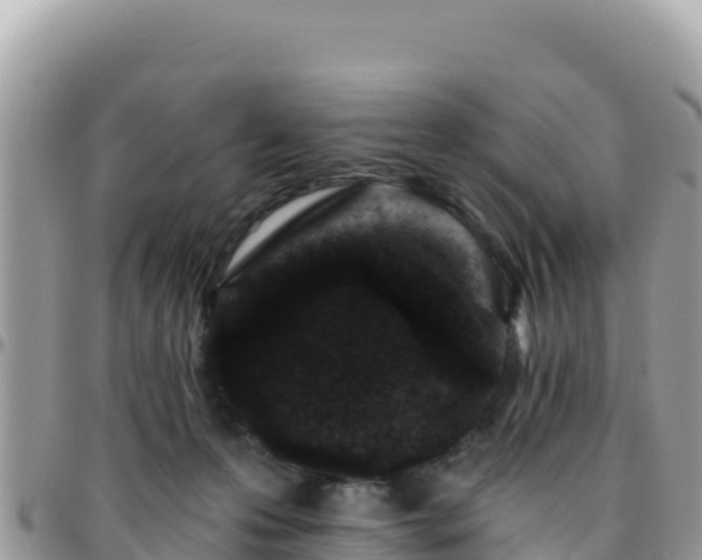 X0000095930223200801181447