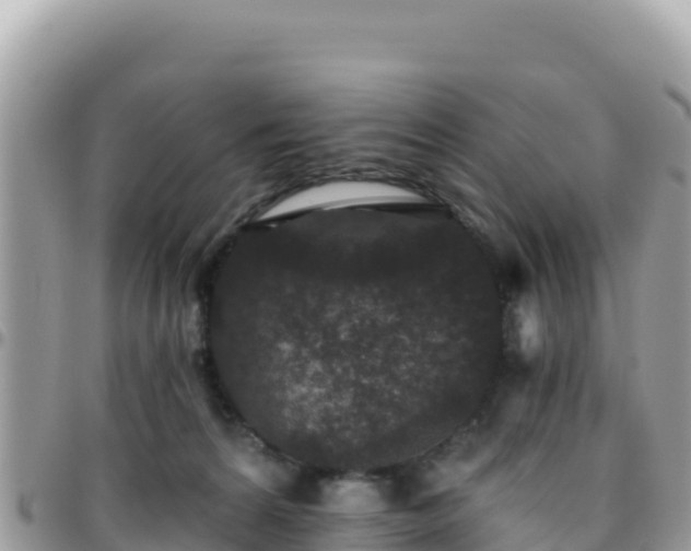 X0000095930224200801181447