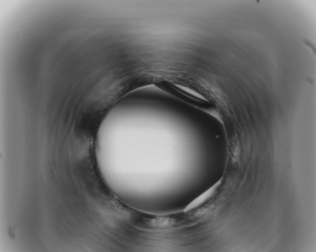 X0000095930225200801181447