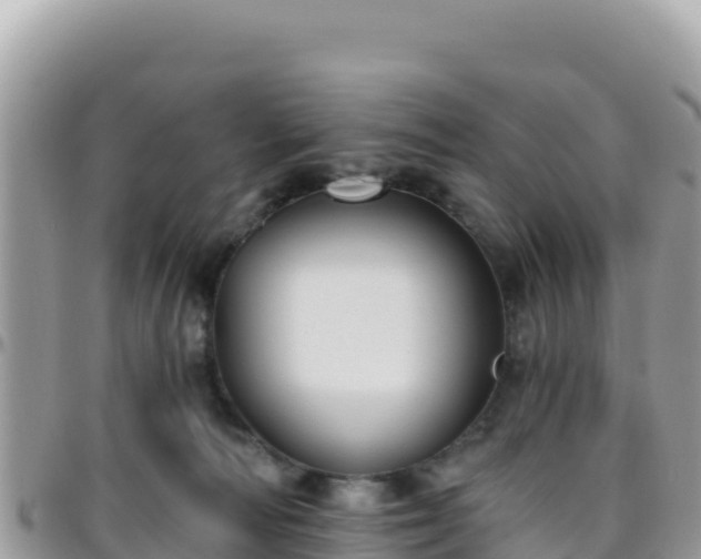 X0000095930226200801181447