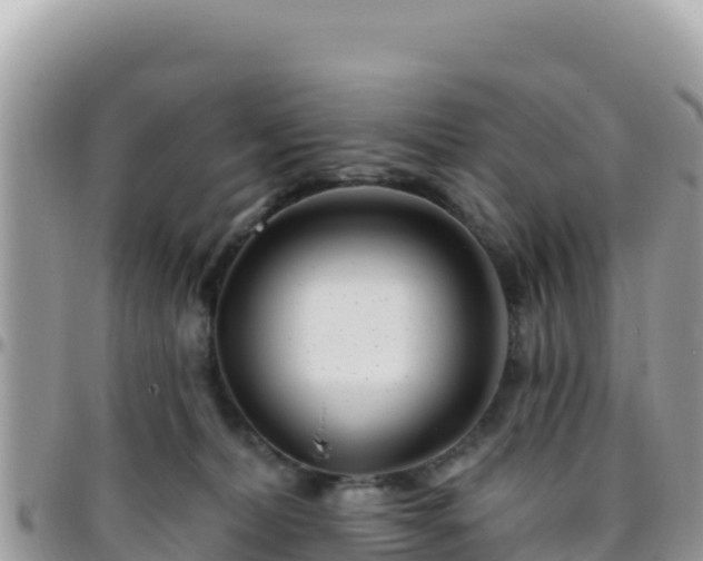 X0000095930228200801181447