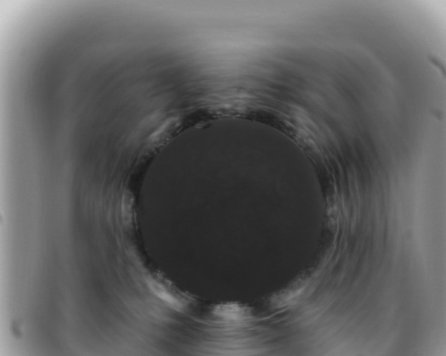 X0000095930231200801181447