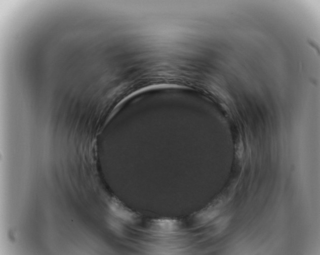 X0000095930233200801181447