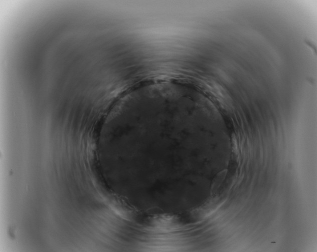 X0000095930235200801181447