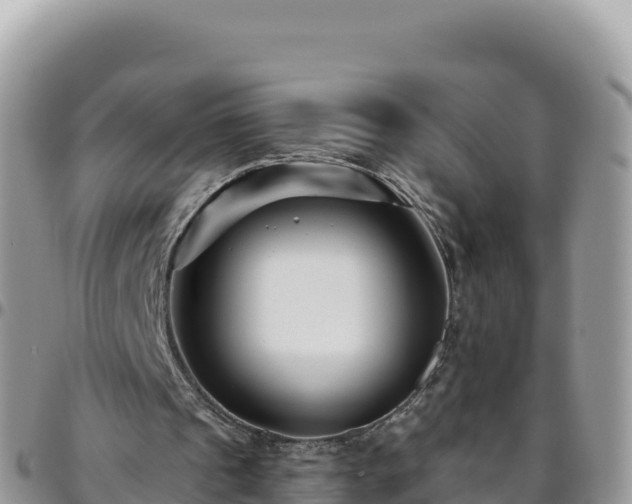 X0000095930241200801181446