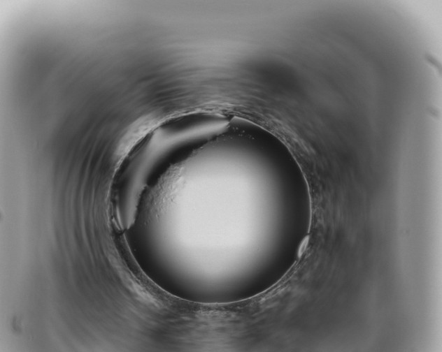 X0000095930242200801181446