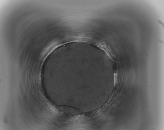 X0000095930243200801181446
