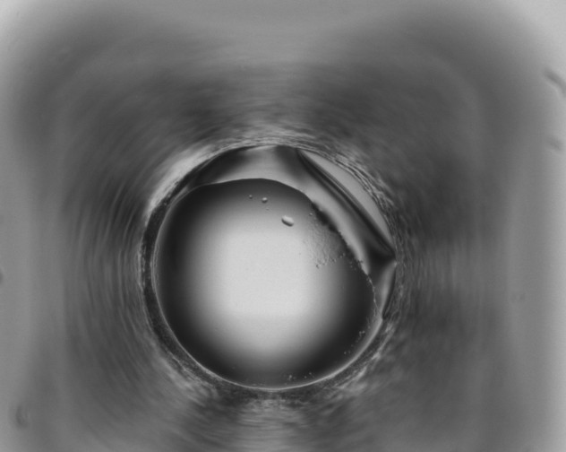 X0000095930244200801181446