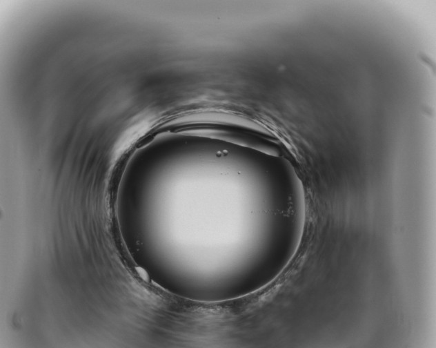 X0000095930245200801181446
