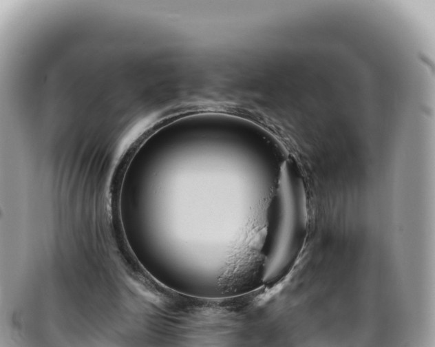 X0000095930246200801181446