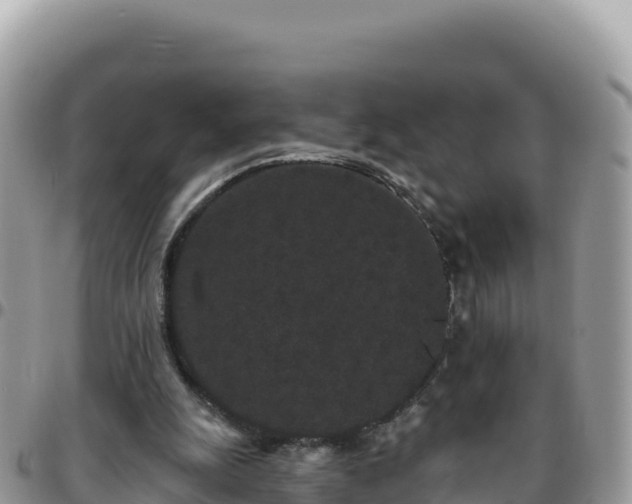 X0000095930247200801181446