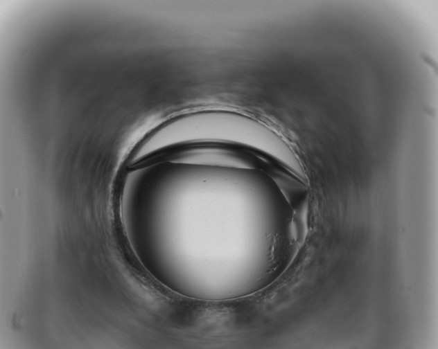 X0000095930248200801181446