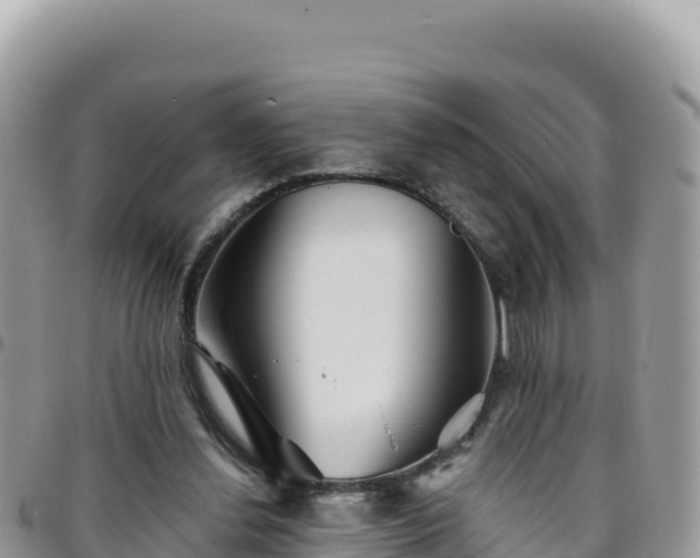 X0000095930252200801181446