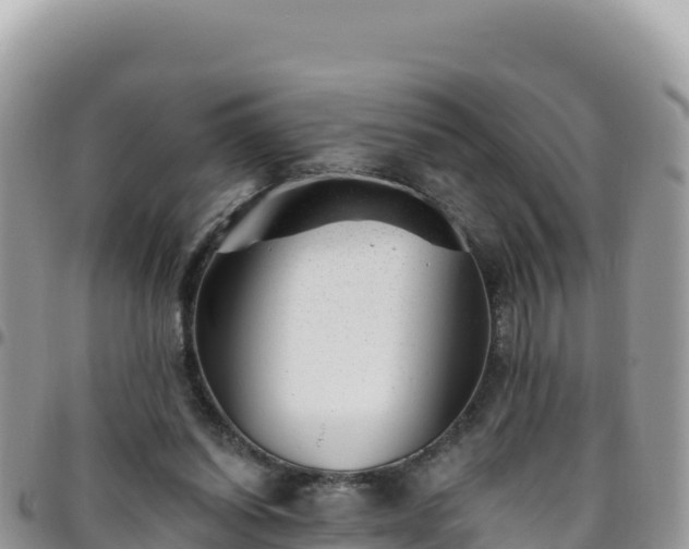 X0000095930254200801181446