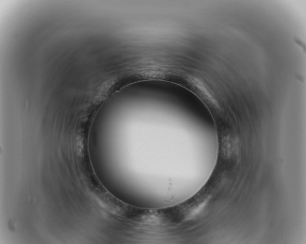 X0000095930259200801181446