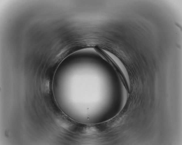 X0000095930262200801181446
