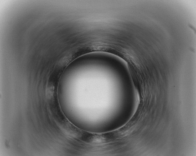 X0000095930263200801181446