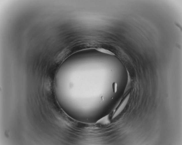 X0000095930266200801181446