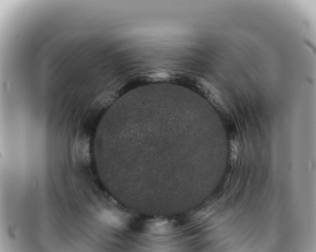 X0000095930267200801181446