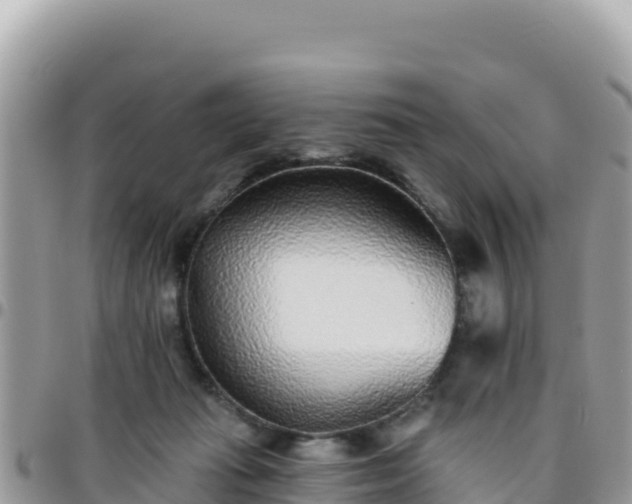 X0000095930269200801181446