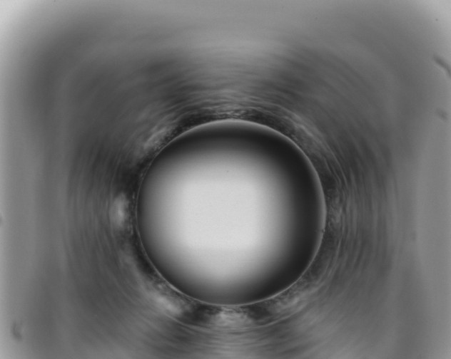 X0000095930270200801181446