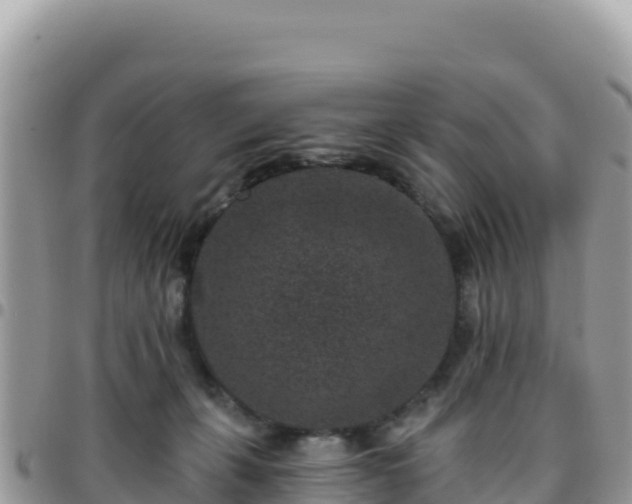 X0000095930271200801181446