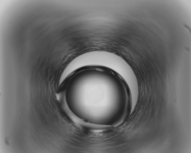 X0000095930276200801181447