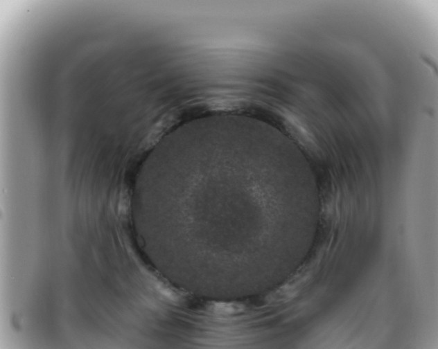 X0000095930277200801181447