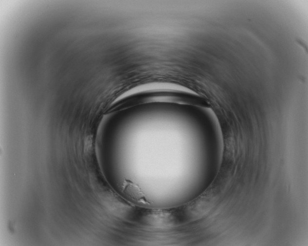 X0000095930278200801181447