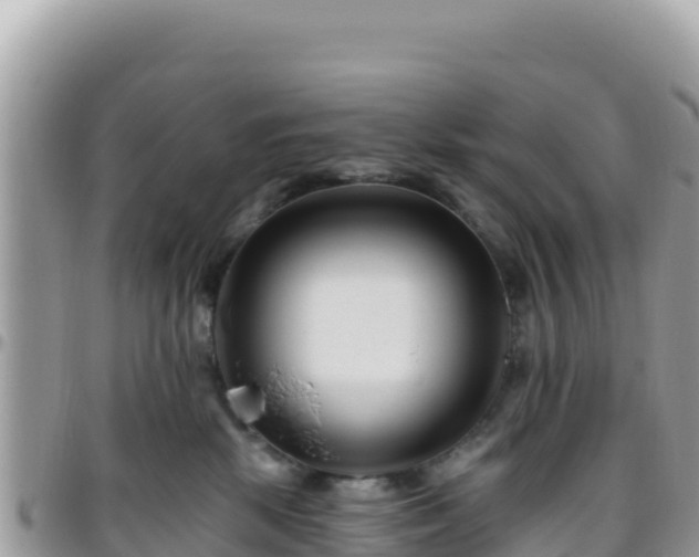 X0000095930281200801181447