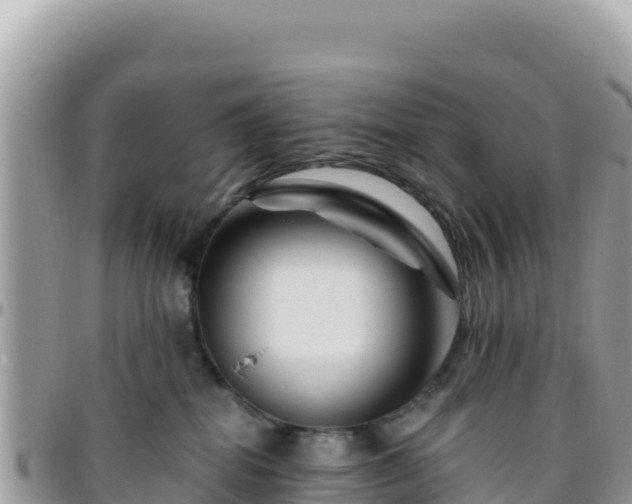 X0000095930282200801181447